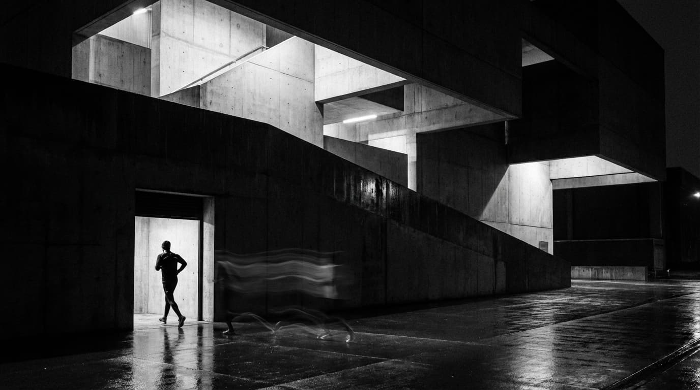 Cover Image for El impulso y la excusa