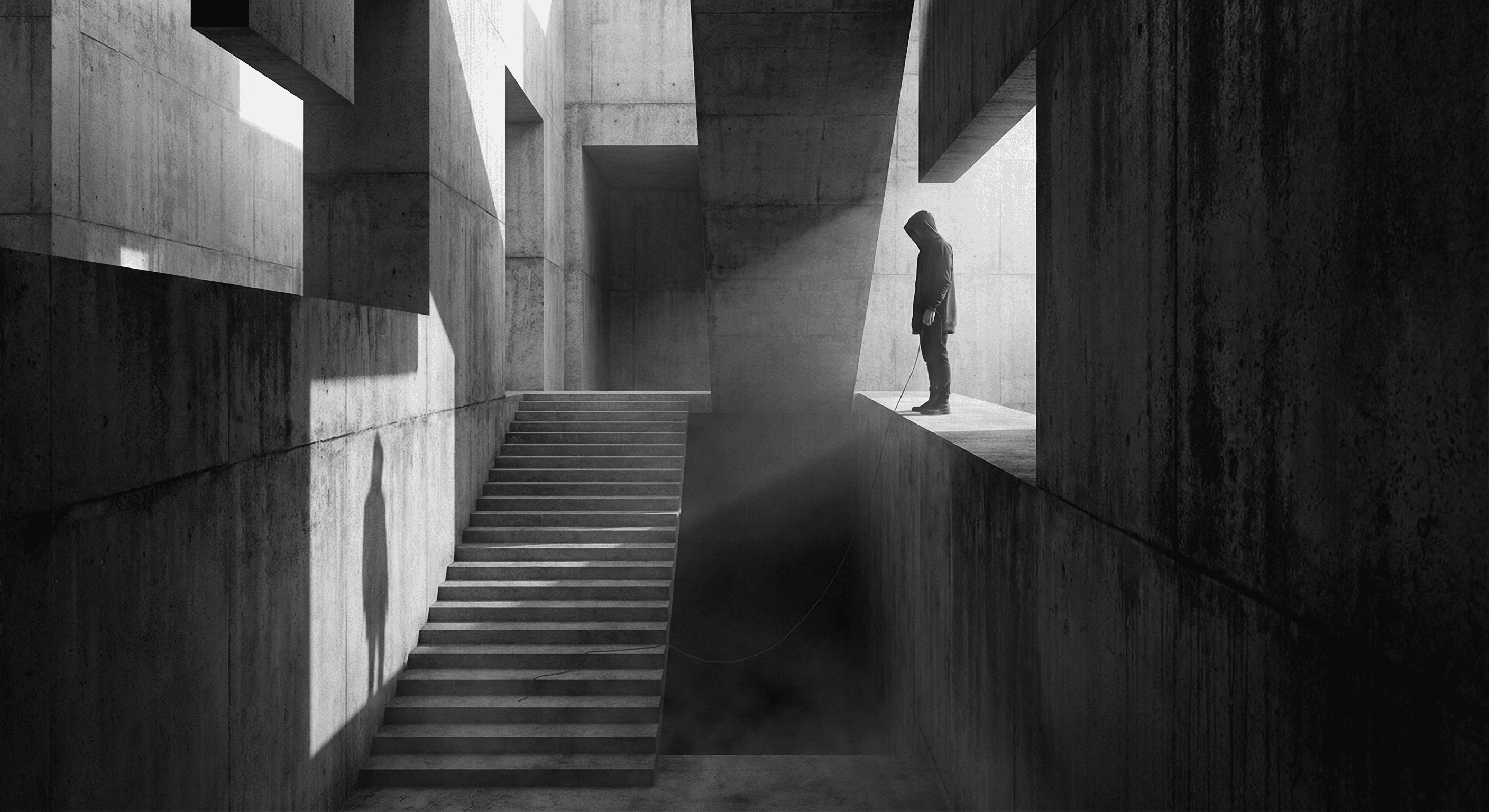 Cover Image for El descenso voluntario