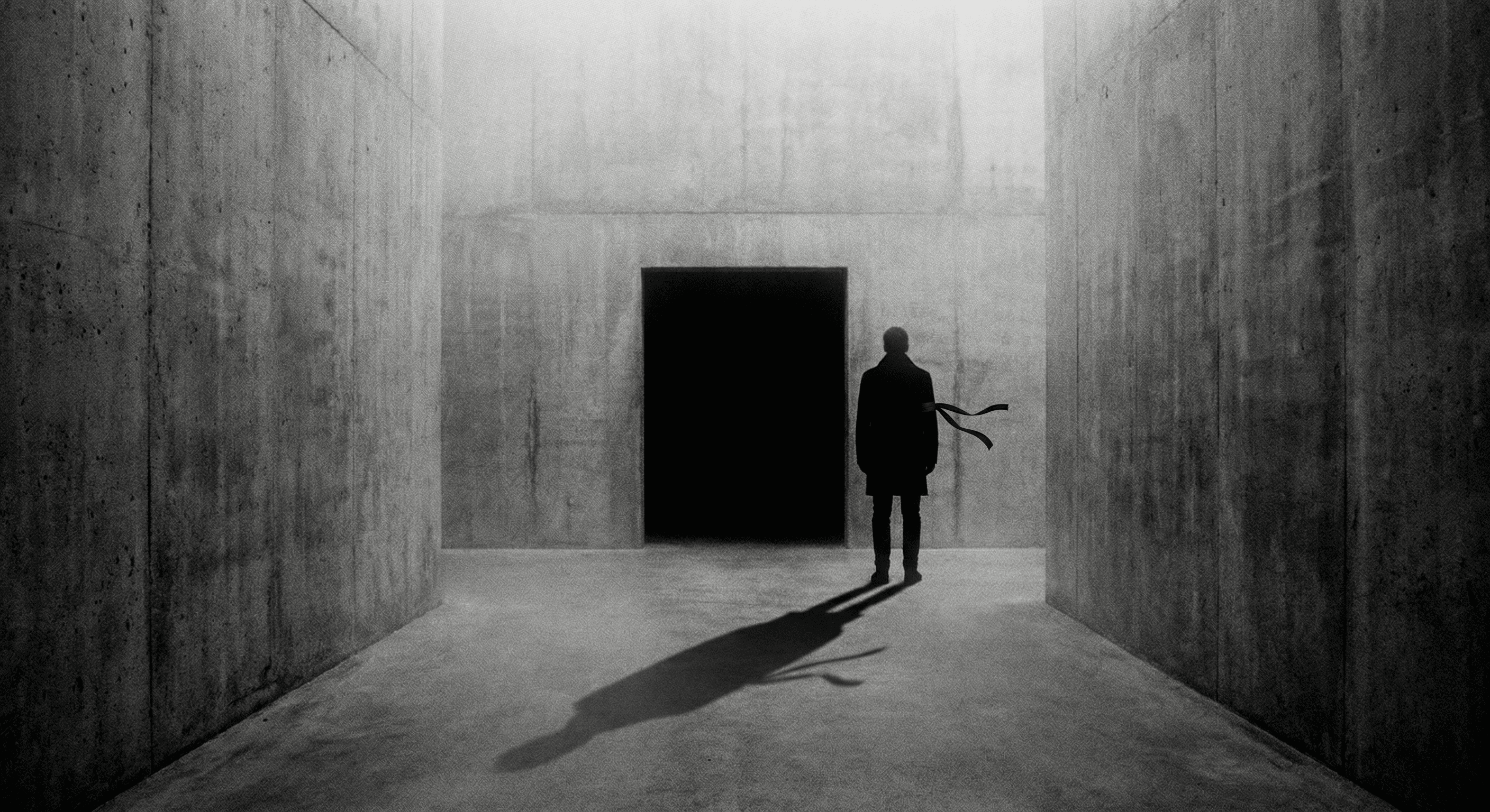 Cover Image for El peso de la sombra